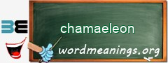 WordMeaning blackboard for chamaeleon